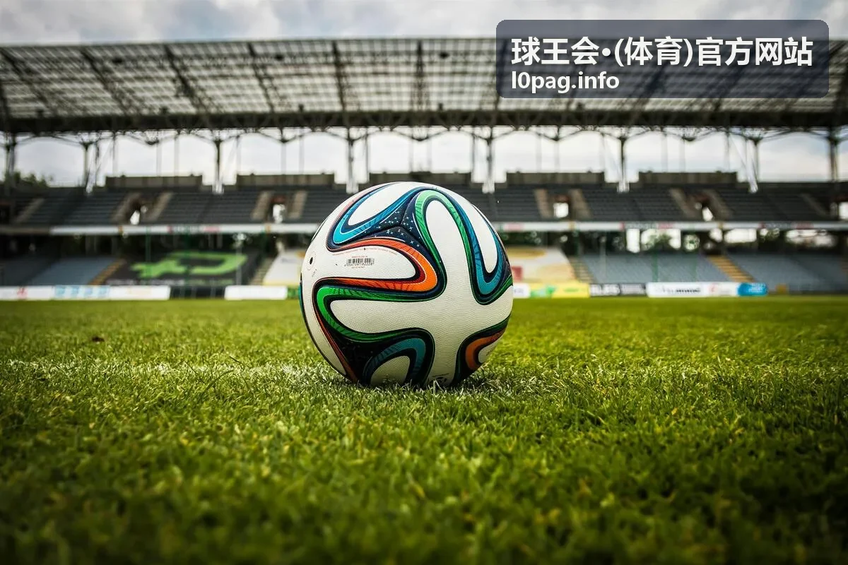 球王会·(体育)官方网站综合服务文章封面